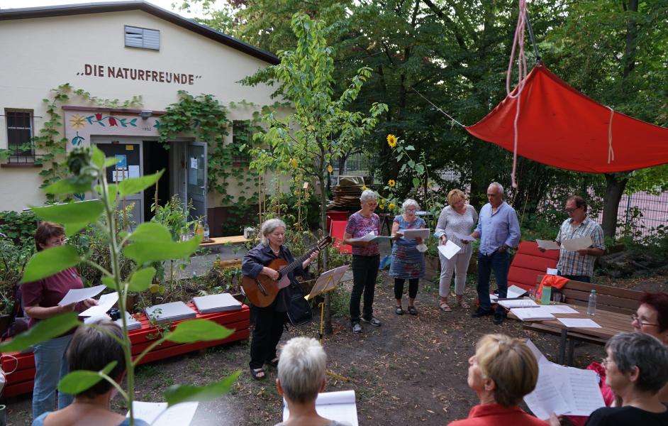 Chorprobe Herxheimer
