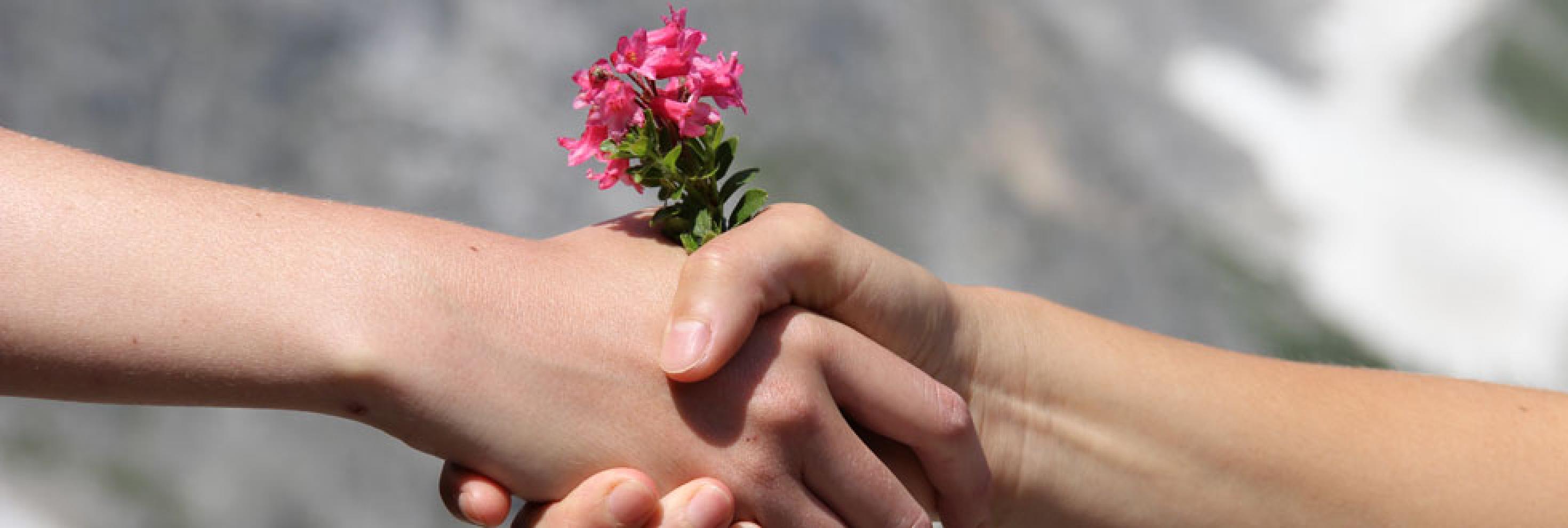 Handschlag der Naturfreunde